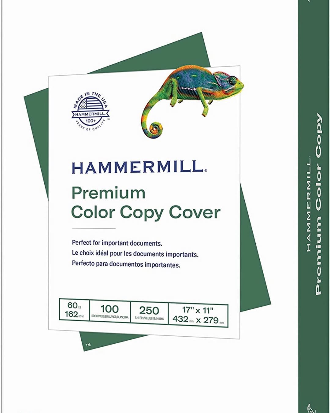 Buy Premium A4 Copy Paper Online